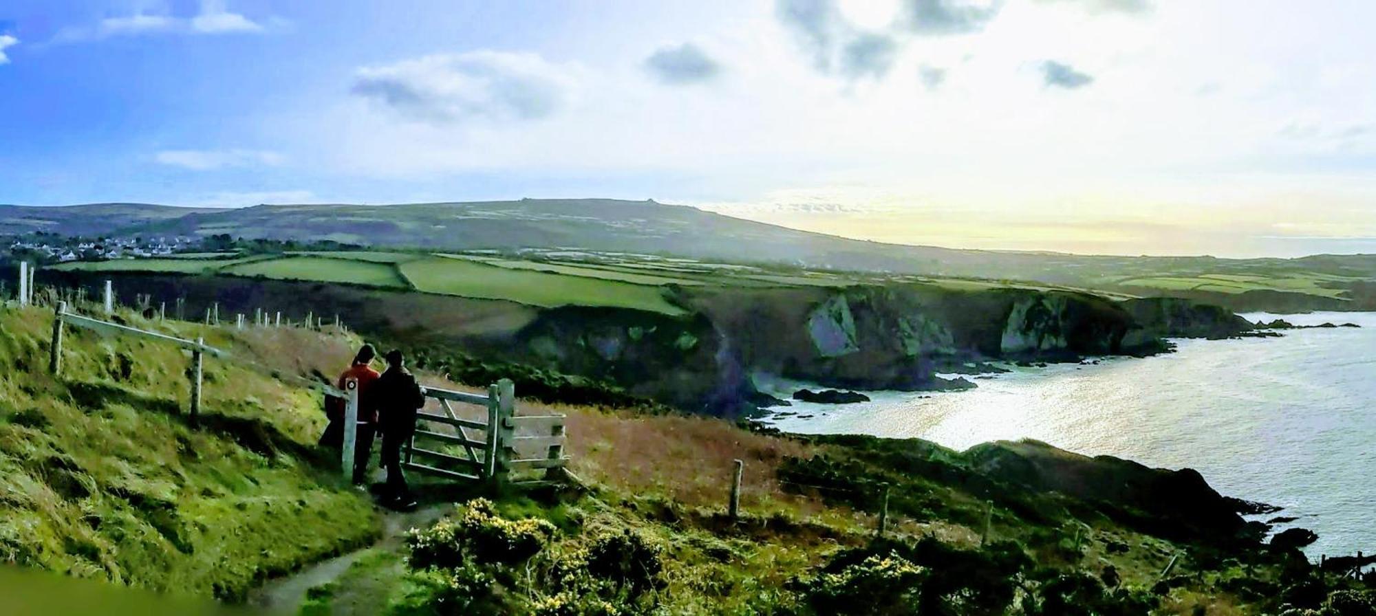 Ivybridge Guesthouse Fishguard Dış mekan fotoğraf