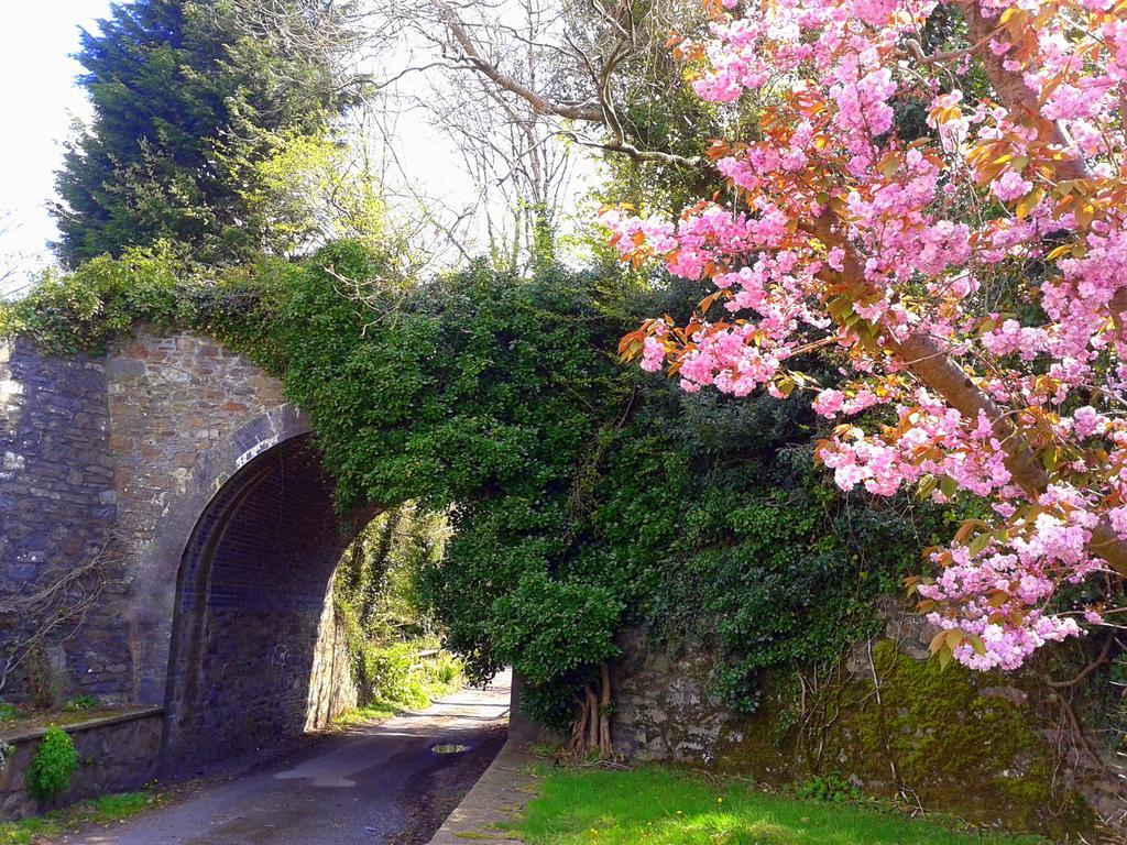 Ivybridge Guesthouse Fishguard Dış mekan fotoğraf