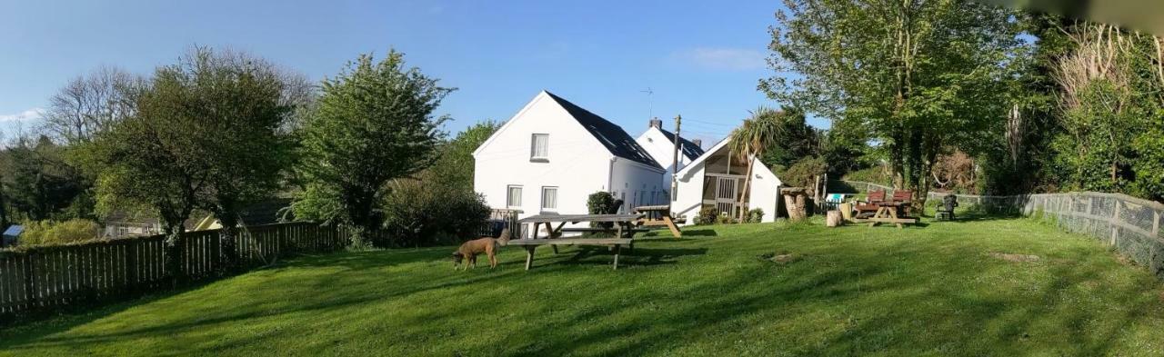 Ivybridge Guesthouse Fishguard Dış mekan fotoğraf
